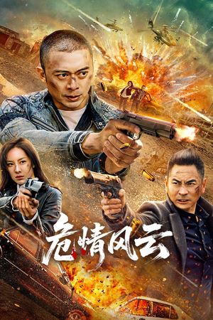 危情风云's poster