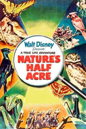 Nature's Half Acre's poster