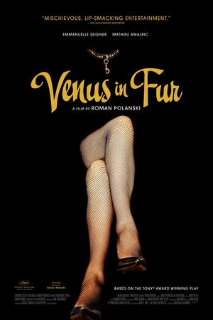 Venus in Fur's poster