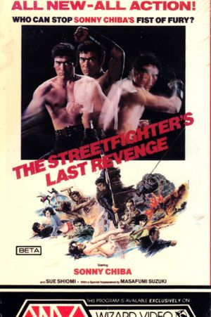 The Street Fighter's Last Revenge's poster