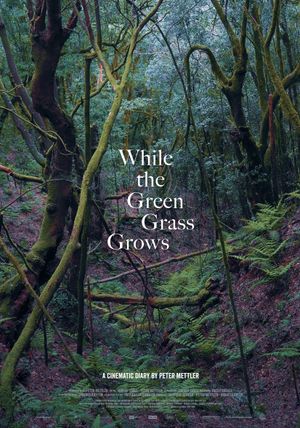 While the Green Grass Grows's poster
