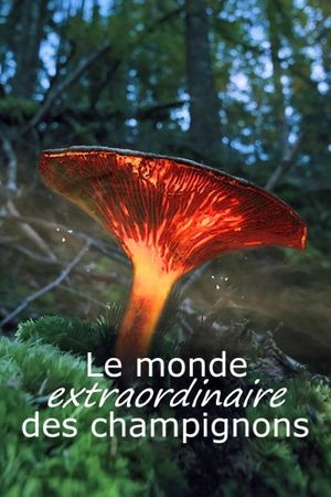 Le monde extraordinaire des champignons's poster