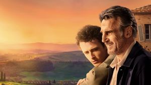 Made in Italy's poster