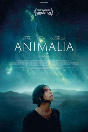Animalia's poster
