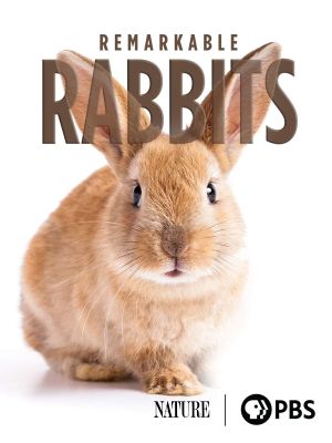 Remarkable Rabbits's poster