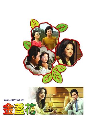 The Marigolds's poster