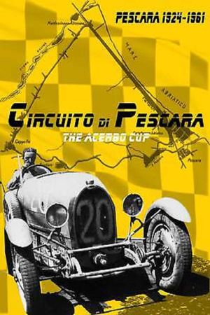 Circuito di Pescara - The Acerbo Cup's poster