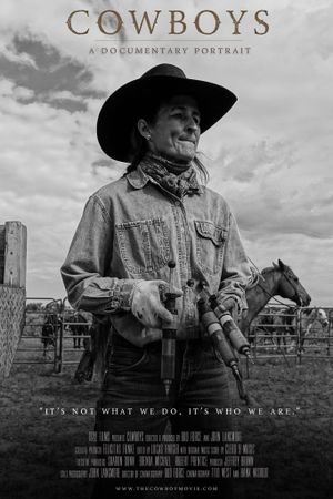 Cowboys's poster