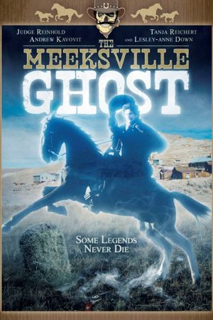 The Meeksville Ghost's poster