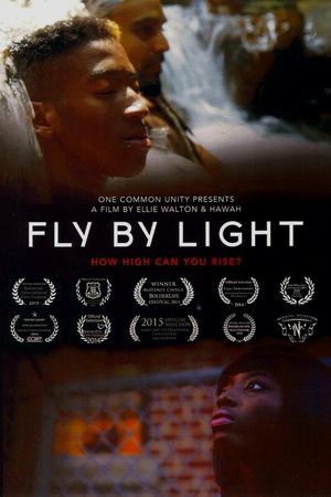 Fly by Light's poster