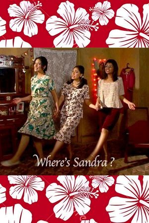 Where's Sandra?'s poster