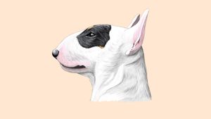 We Don't Deserve Dogs's poster