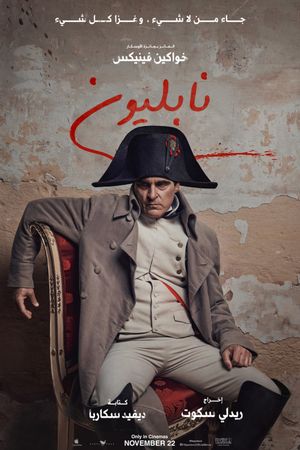 Napoleon's poster