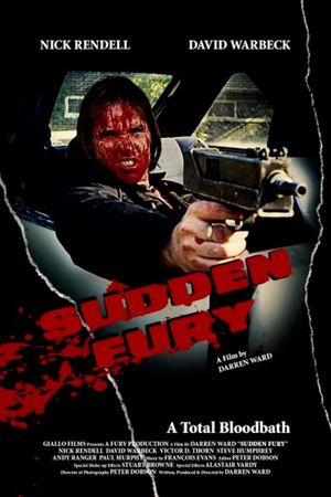 Sudden Fury's poster