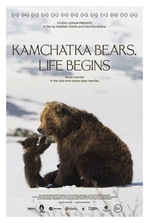 Kamchatka Bears. Life Begins's poster