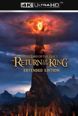 The Lord of the Rings: The Return of the King's poster