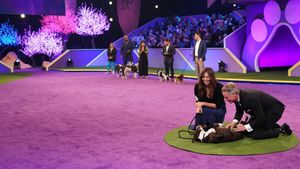 2022 American Rescue Dog Show's poster