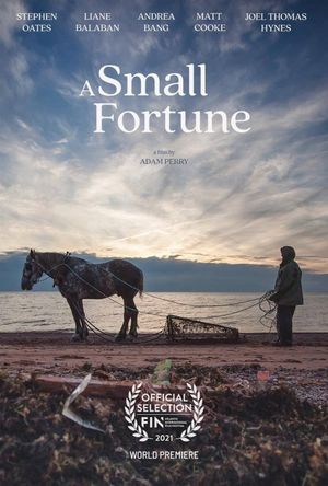 A Small Fortune's poster image