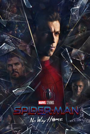 Spider-Man: No Way Home's poster