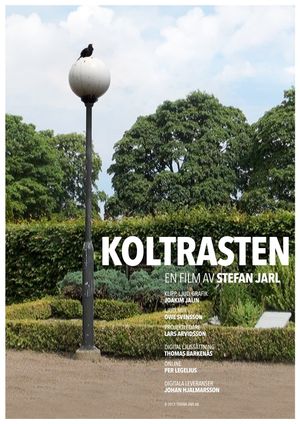 Koltrasten's poster