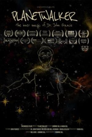 A Symphony of Tiny Lights's poster