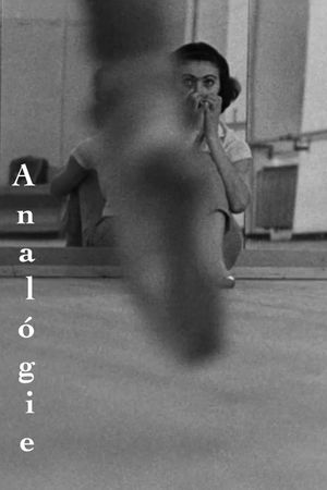 Analógie's poster