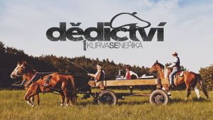 Dedictví aneb Kurvaseneríká's poster