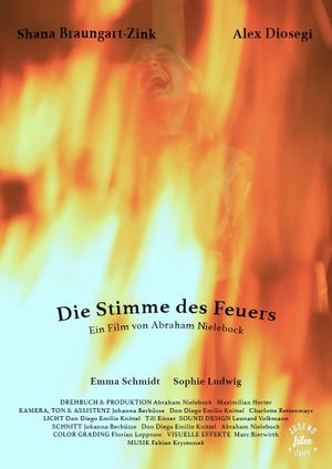 Die Stimme des Feuers's poster