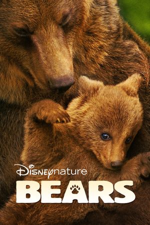 Bears's poster