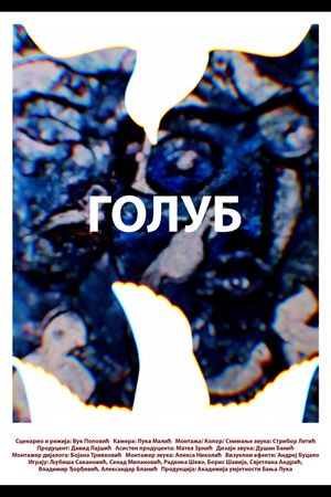 A pigeon's poster
