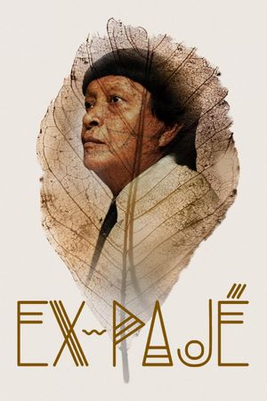 Ex-Shaman's poster