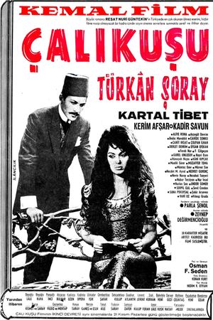 Çalikusu's poster