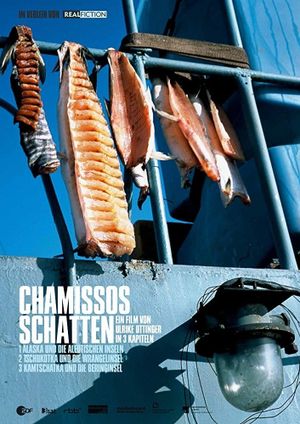 Chamisso's Shadow's poster