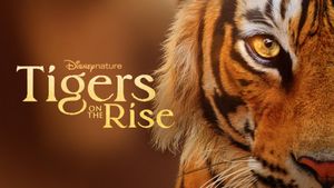 Tigers on the Rise's poster