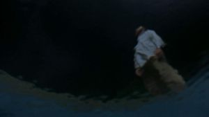 Lady in the Water's poster