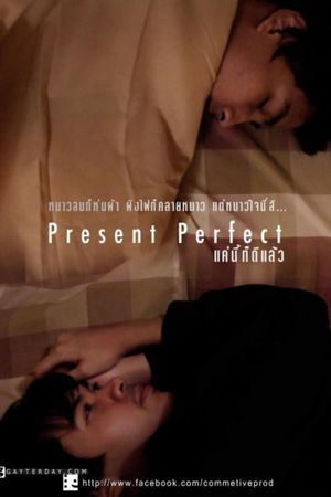 Present Perfect's poster