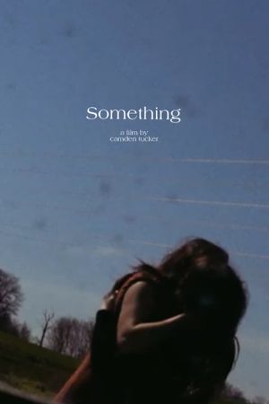 Something's poster