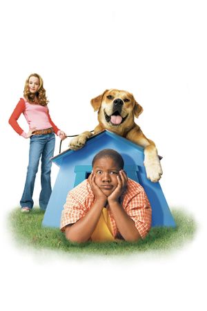 Life Is Ruff's poster