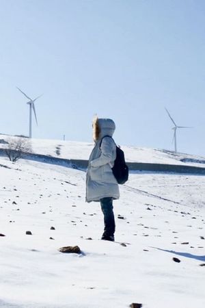The Hill of Wind's poster