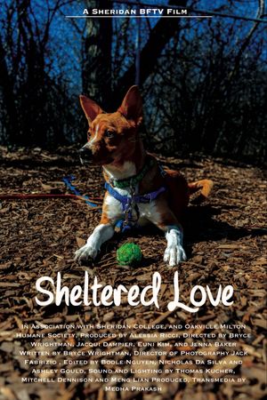 Sheltered Love's poster