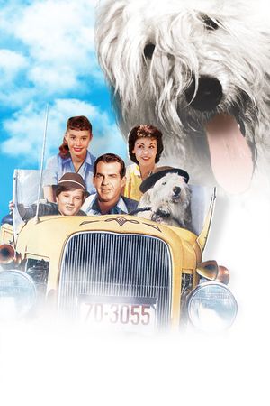 The Shaggy Dog's poster