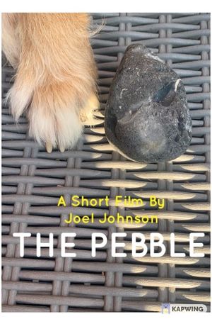 The Pebble's poster