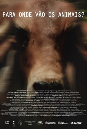 Para Onde Vão Os Animais's poster