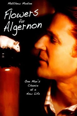 Flowers for Algernon's poster