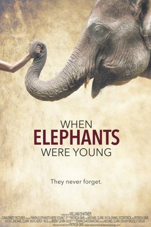 When Elephants Were Young's poster
