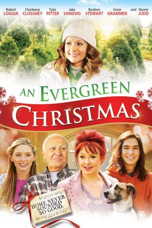 An Evergreen Christmas's poster