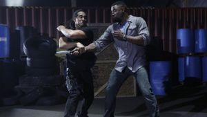 Falcon Rising's poster
