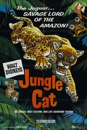 Jungle Cat's poster