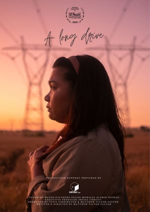 A Long Drive's poster