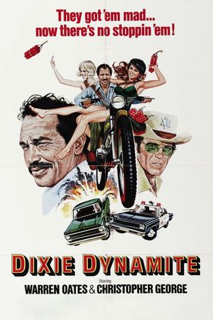 Dixie Dynamite's poster